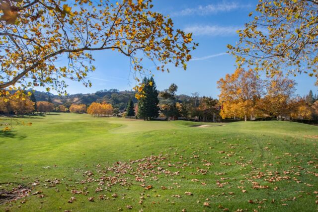 Współczesne wyzwania społeczne: jak sobie z nimi radzić