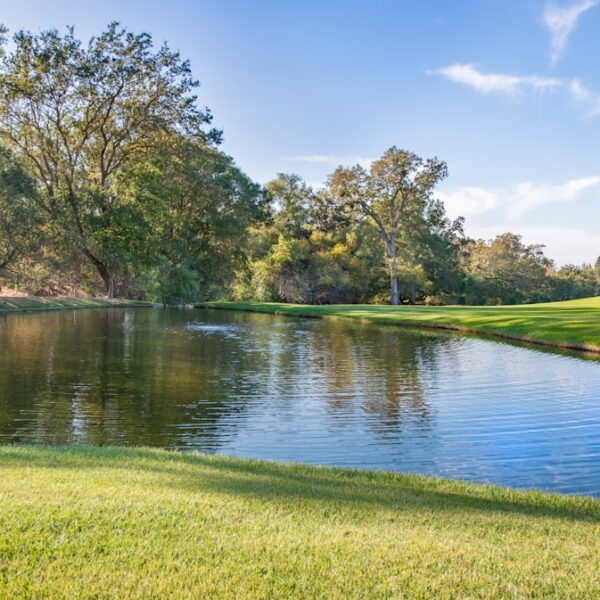 Zastosowanie Druk 4D: Innowacyjne wykorzystanie technologii w praktyce