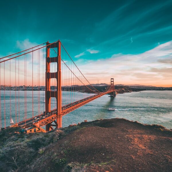 Naturalne suplementy diety – zarabiaj z MLM