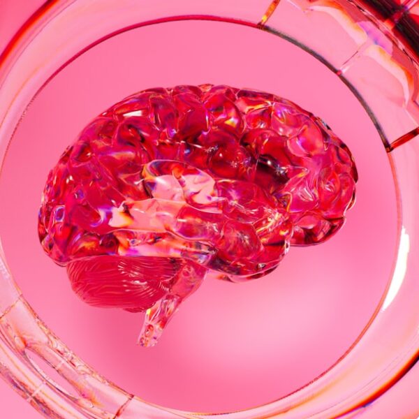 Interfejsy mózg-komputer: przełomy w komunikacji neurotechnologicznej